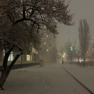 午夜成人A片精品视频免费观看
